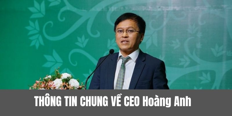 Những thông tin chung về CEO Hoàng Anh