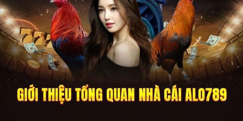 Khái quát tổng quan chung về hướng dẫn alo789