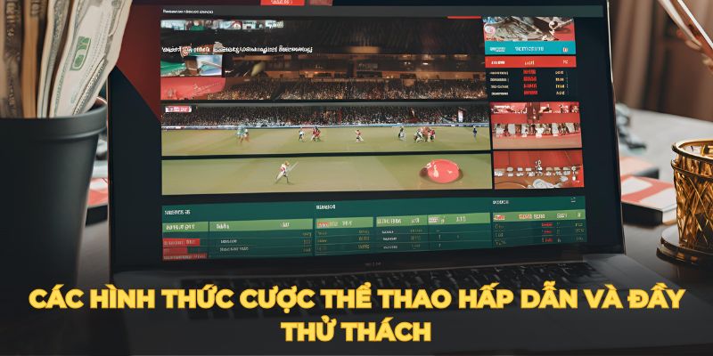 Các hình thức cược thể thao hấp dẫn và đầy thử thách